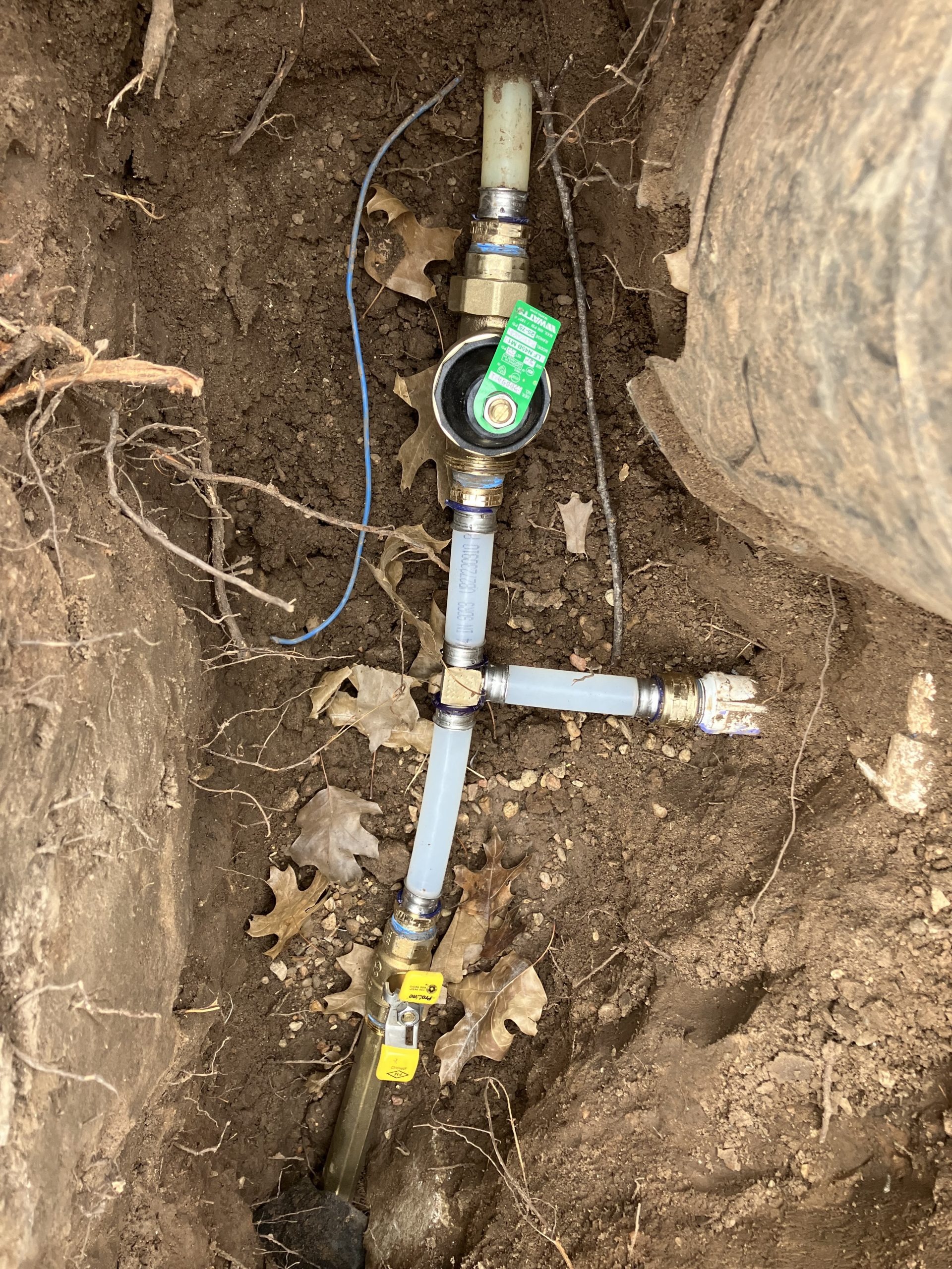 imgi_5_Gallery-4-scaled